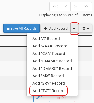 Zone Editor - Add TXT Record